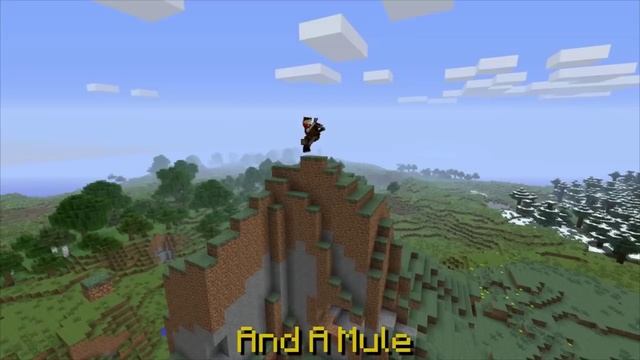 1 HOUR OF HORSES! (From the 1.6 Song)