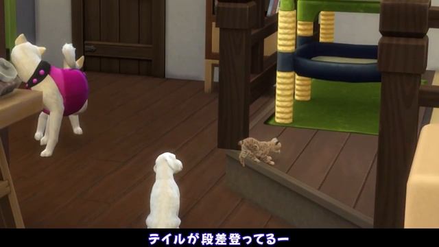 ＃1【シムズ４】わんにゃんカフェにようこそ【ゆっくり実況】