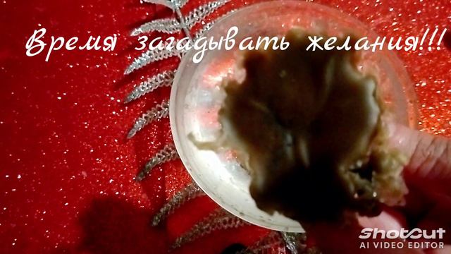 ✨Время загадывать желание ✨