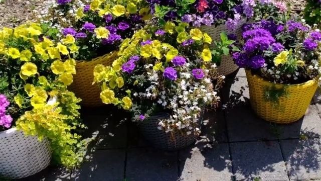 gardentrip.ru