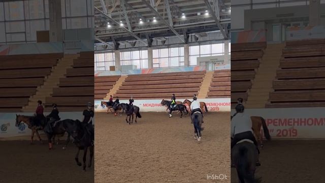 Тренировочный процесс #конныйспорт #лошади #конюшня #конкур