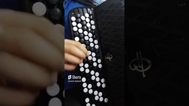 #shorts_video #shortsvideo #shortsyoutube #песни #песниподбаян #Едемедемвсоседнеесело