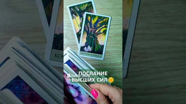 ПОСЛАНИЕ ВЫСШИХ СИЛ🌞 совет ВСЕЛЕННОЙ 💫 таро расклад (3)