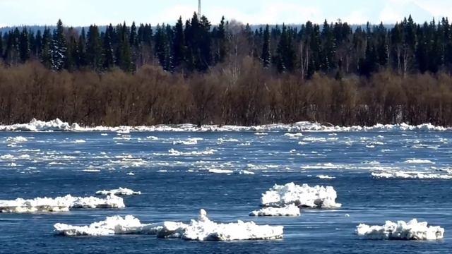 Есть такая река – Печора. Река Печора. Царица русского Севера.