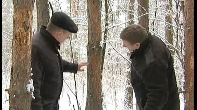 Деревья на раздачу