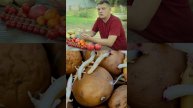 Картошка ПРОРАСТАЕТ при хранении Что делать