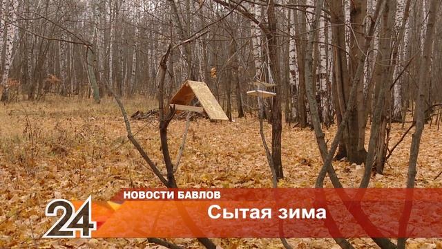 Сытая зима - 26 октября 2021 года