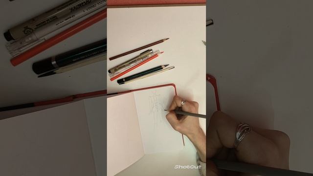 1000011139.mp4