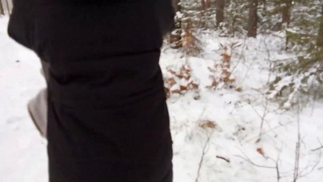 #vlog . 1 день из моей жизни ?