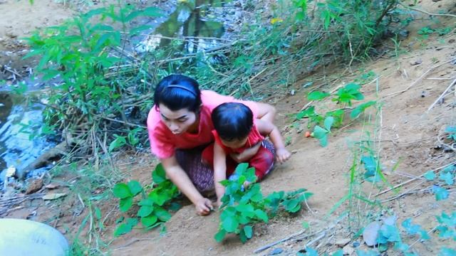 Wild Women - baby boy find pick Strawberry with mother by river - cooking food for dog