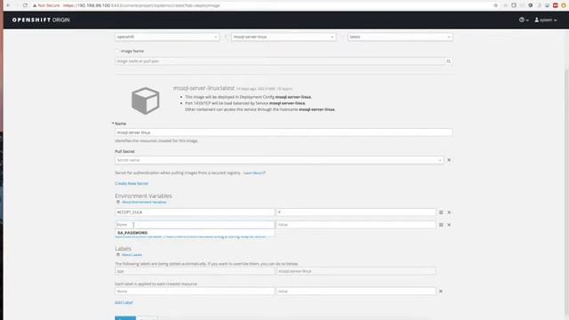 MS Sqlserver and dotnet demo on openshift