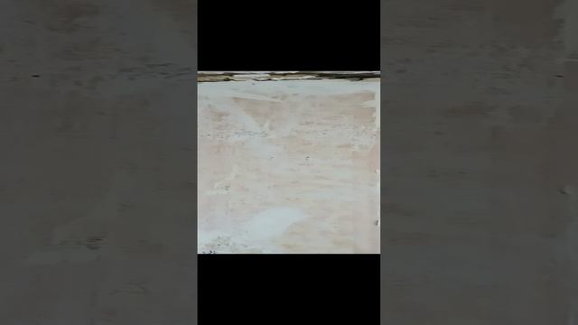 VID_20231020_122442.mp4