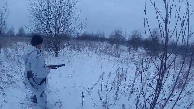 И зайку погоняли и лося посмотрели!