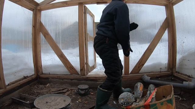 Варю картошку для кур.