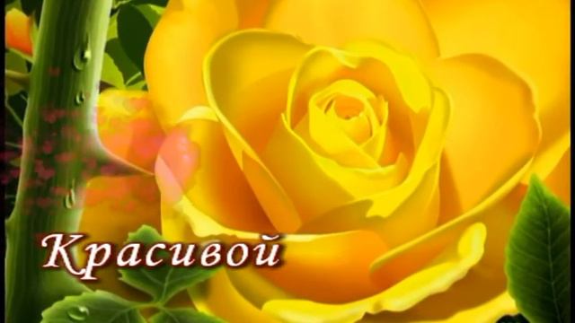 Шикарным женщинам посвящается!