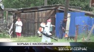 началась борьба с комарами в Канске