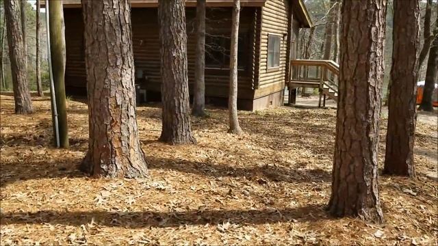 North Toledo Bend State Park  Louisiana State Parks  Best RV Destination in Louisiana!!