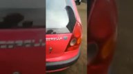 Toyota Corolla краткий обзор