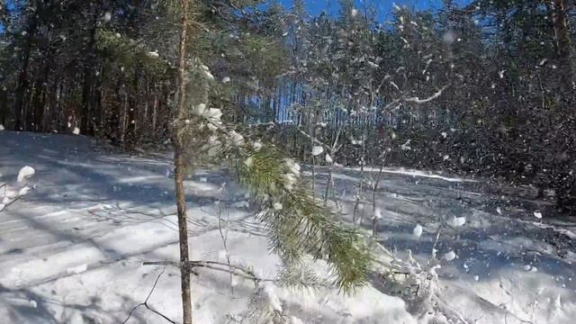 Первый день весны 2020 года