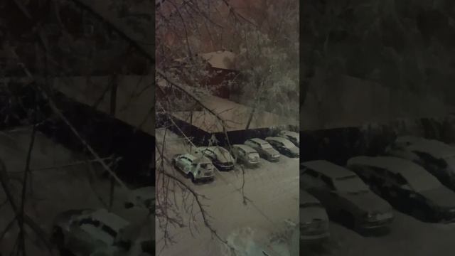снегопад в торжке 25 февраля 2023 г.