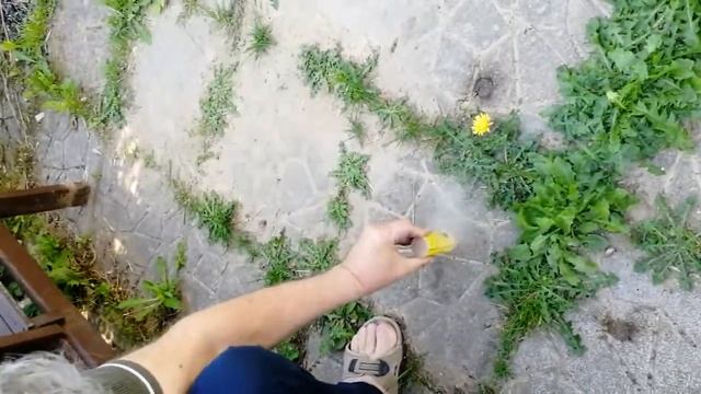 Как инициировать шашку ПЕШКА В