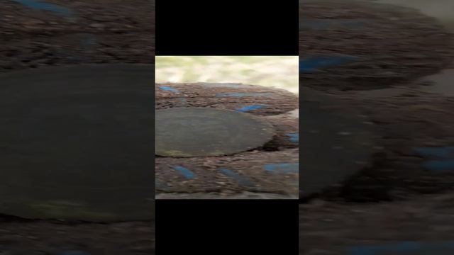 1000007258.mp4