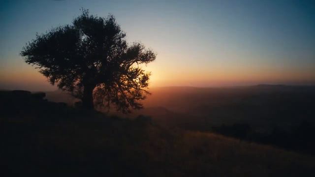 Евангелие от Марка, глава  16