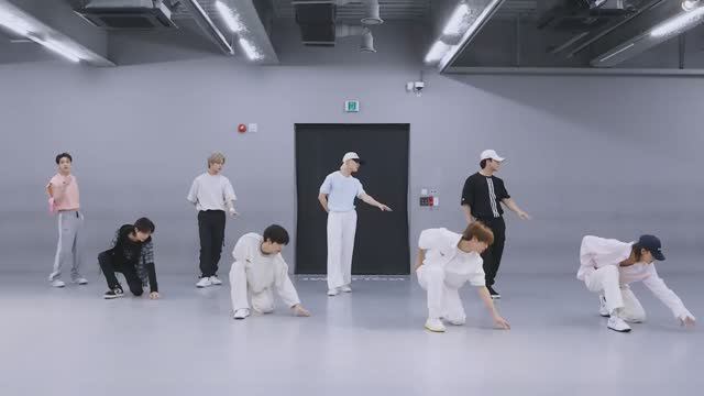 [MIRRORED] Stray Kids CASE 143 Dance Practice Video