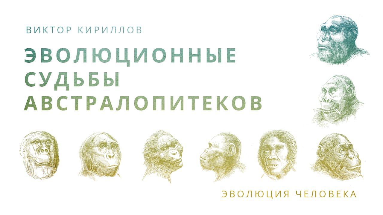 9. Эволюционные судьбы австралопитеков. Происхождение человека - 10 класс