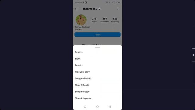 How to See Private Account Posts on Instagram Without Following