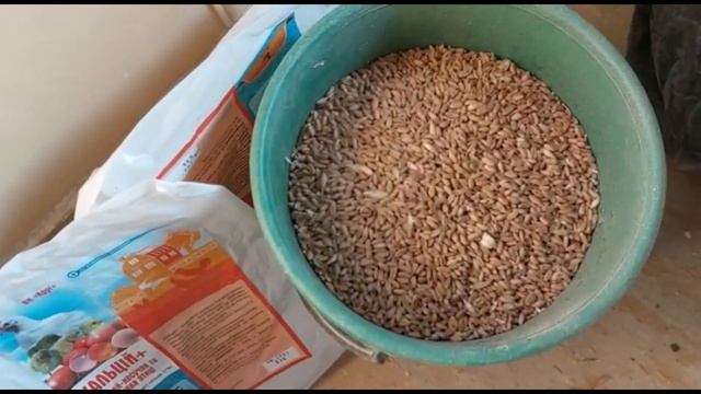 КОМБИКОРМ СТАРТ И РОСТ СВОИМИ РУКАМИ