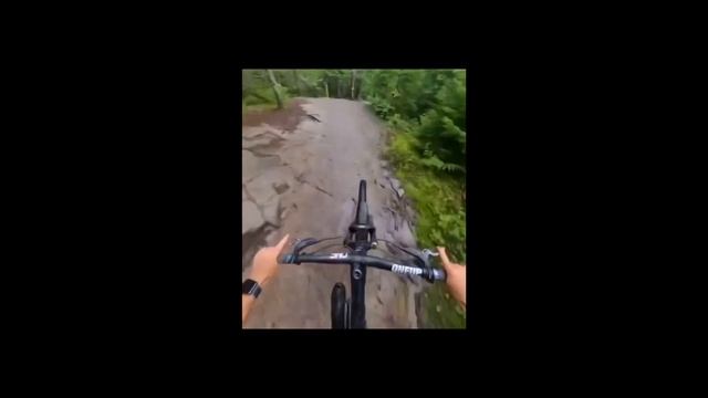 П141 Відео нумо перший курс