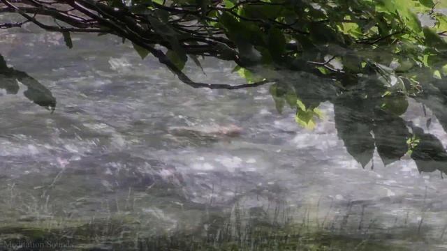 Nature Sounds with Piano, flute and guitar , Ambiant Music