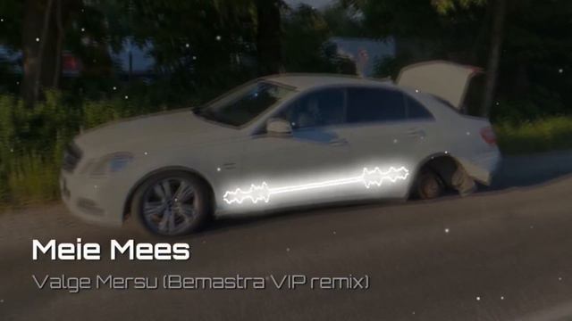 Meie Mees - Valge Mersu (VIP REMIX with Sander's White Mercedes E250)