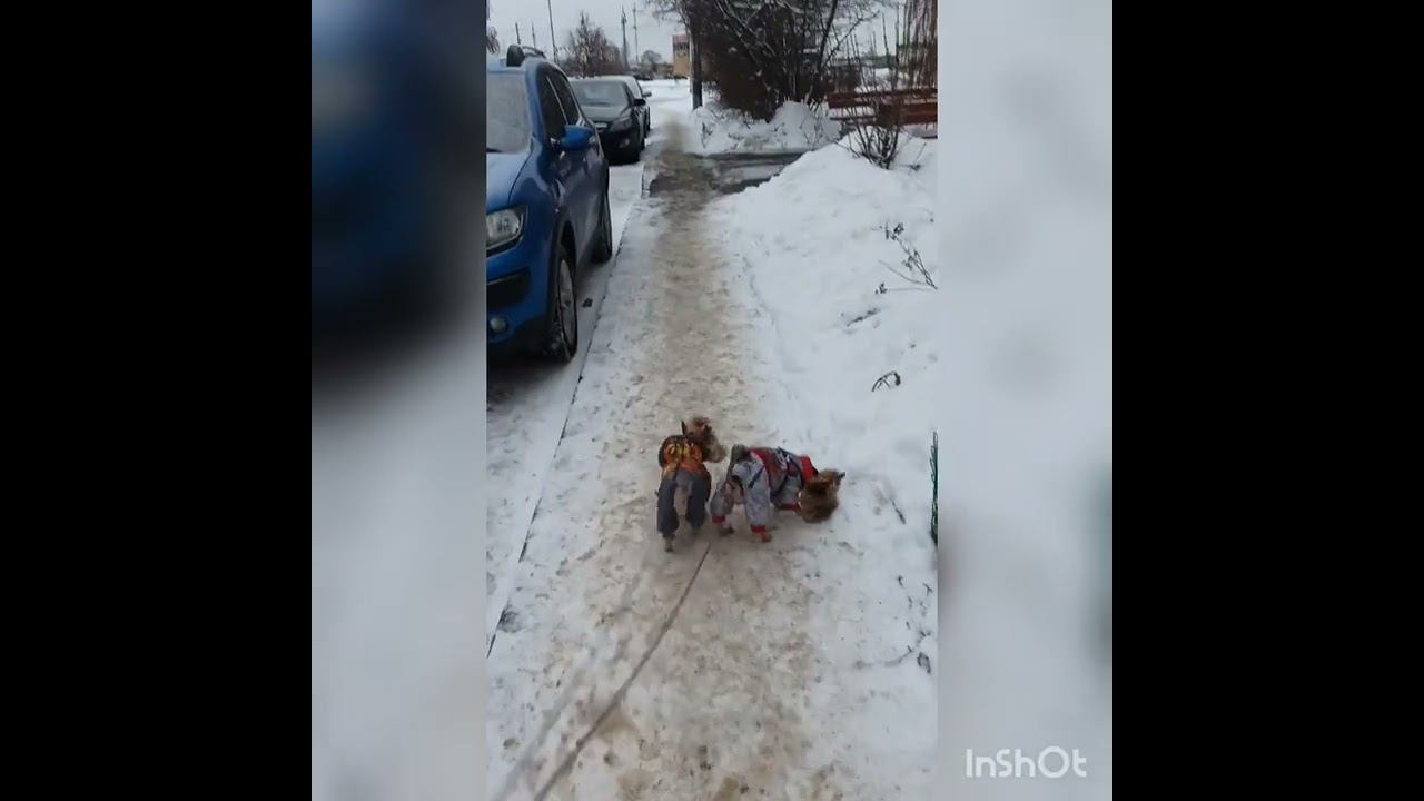 29.12.23г. С наступающим Новым Годом!