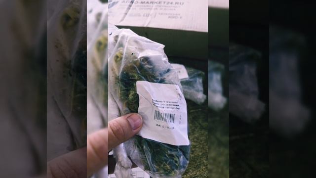 "Отзыв клиента Агромаркет24"
