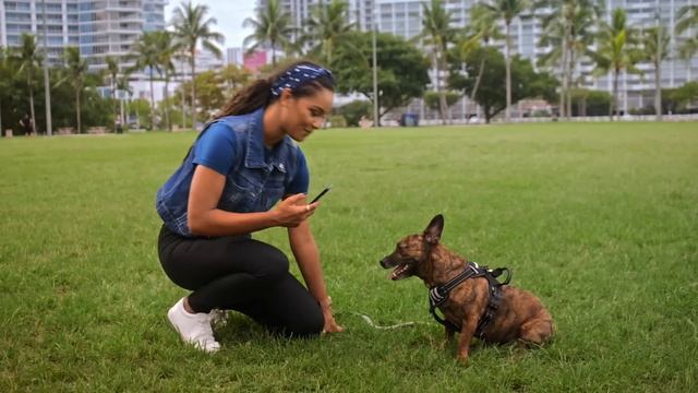 Take Expressive Pet Portraits on iPhone with Sophie Gamand | Apple
