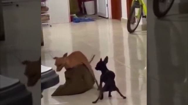 ДИСКОТЕКА
