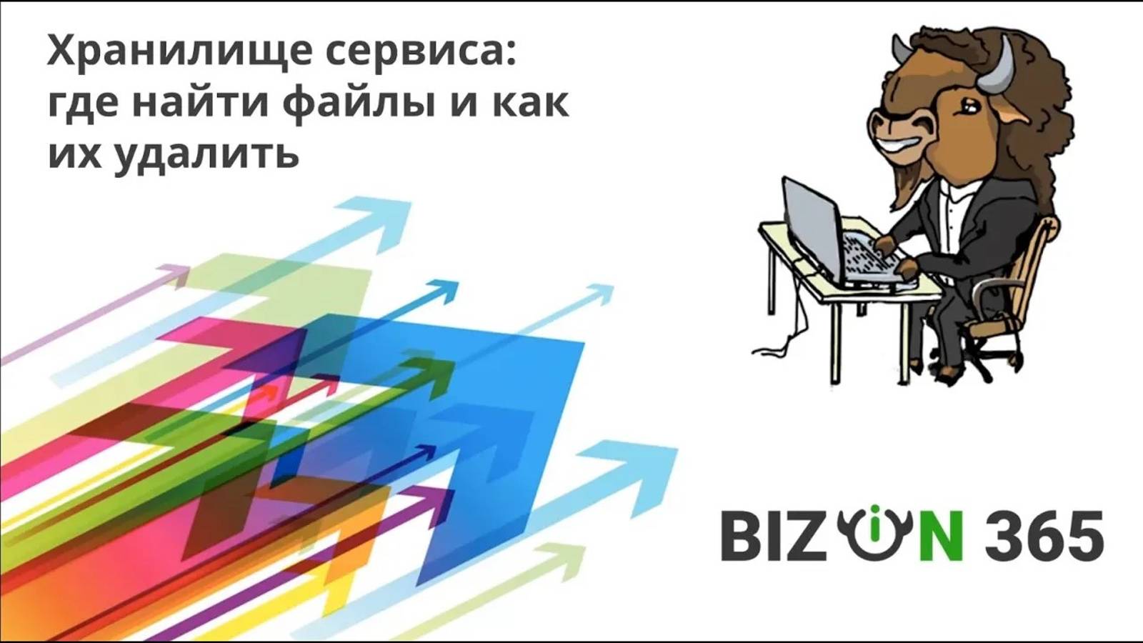 Хранилище сервиса Бизон 365: где найти файлы и как их удалить