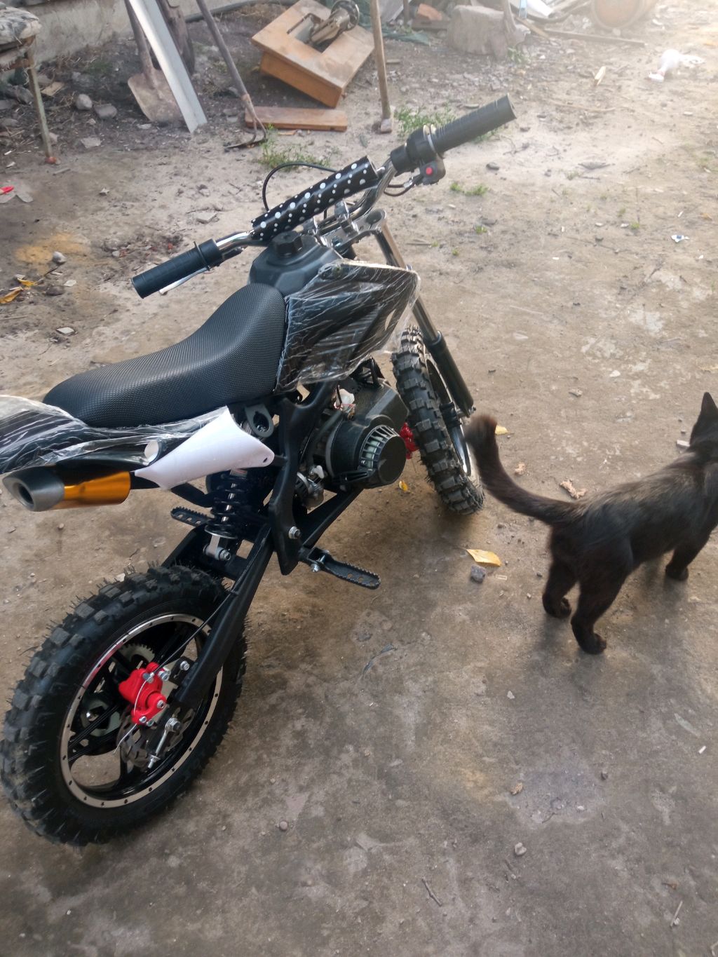 катаюсь на питбайке