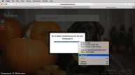 Safari New Tab Page Install Guide - Theme your Experience