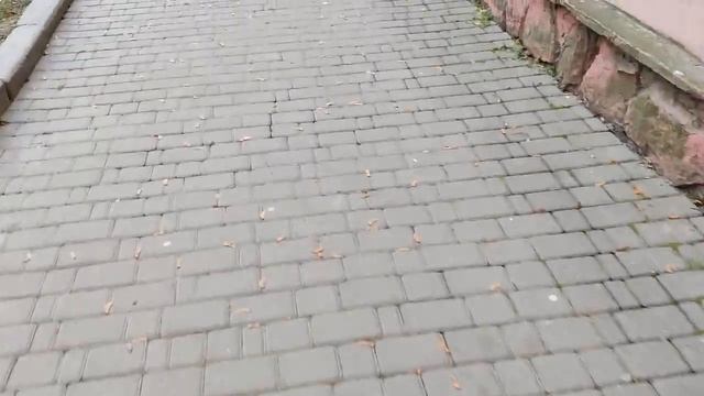 05.12.2022 Черновцы. На продуктовом рынке без света и о студентах-иностранцах
