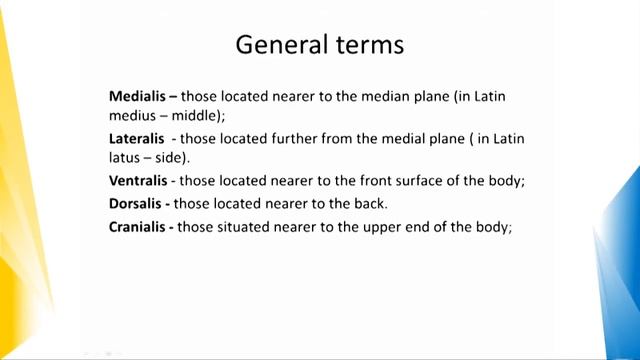 AXES and Planes. General terms in Anatomy