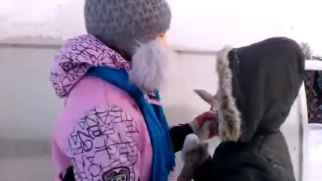 СПРАВЕДЛИВОСТЬ ЕСТЬ!!!!!! иди в скворечник!