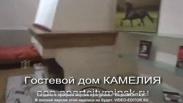 Гостевой дом КАМЕЛИЯ. Видеоотзыв-обзор гостьи