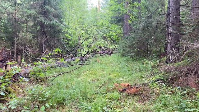 Соратник Зеленского выступил за переговоры.