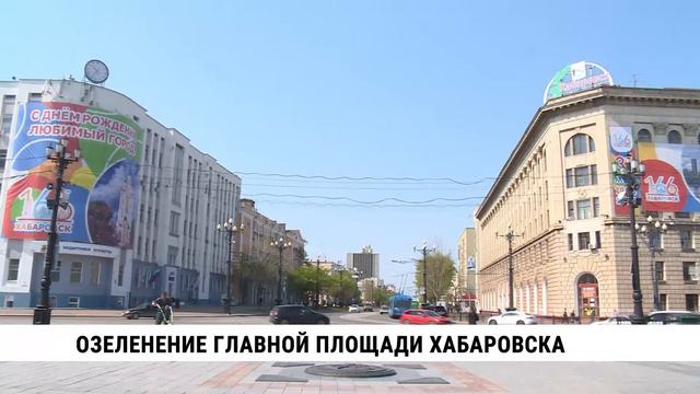 Озеленение главной площади Хабаровска