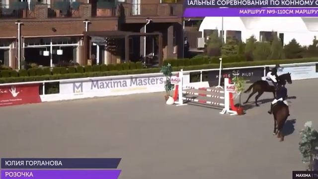 РОЗОЧКА 14-17 | Завод имени Первой конной армии | Будённовская порода лошадей