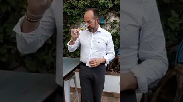 CATANDO VINO BLANCO DE UVA VERDEJO
