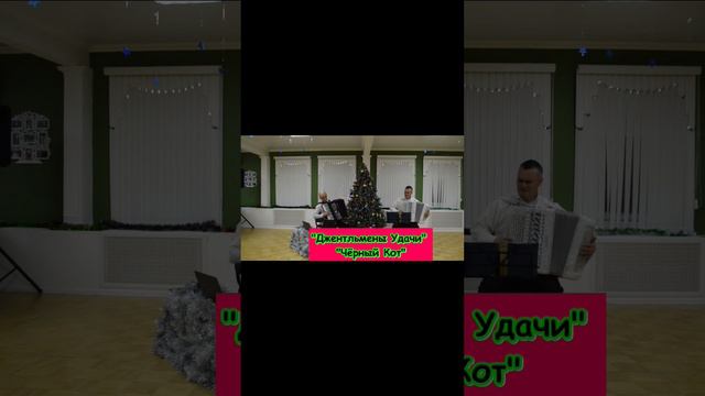 Джентльмены удачи и чёрный кот. Тундр - Дуо Accordion Фольклор Баянист Аккордеонист Баян Аккордеон